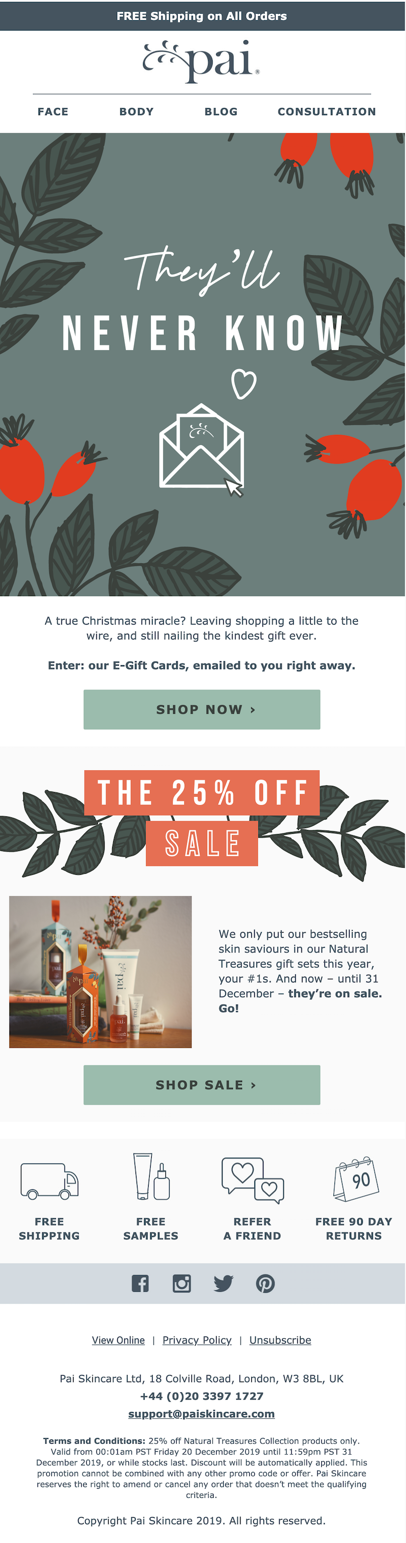 Christmas email campaign example